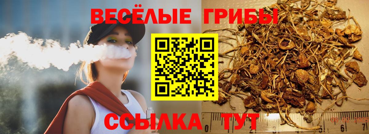 Псилоцибиновые грибы ЛСД Осинники