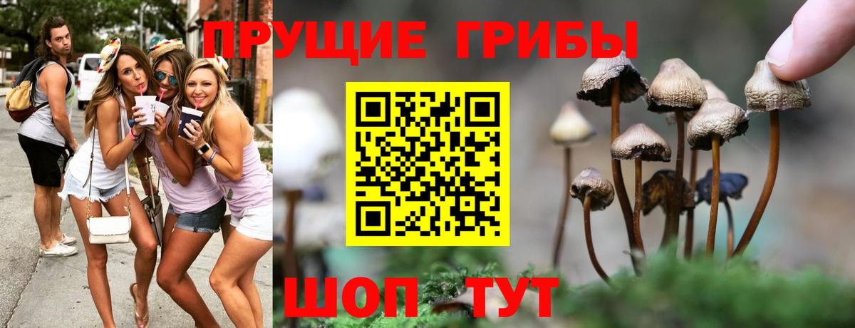 Псилоцибиновые грибы MAGIC MUSHROOMS  Вход с VPN  Галлюциногенные грибы мухоморы  Осинники 
